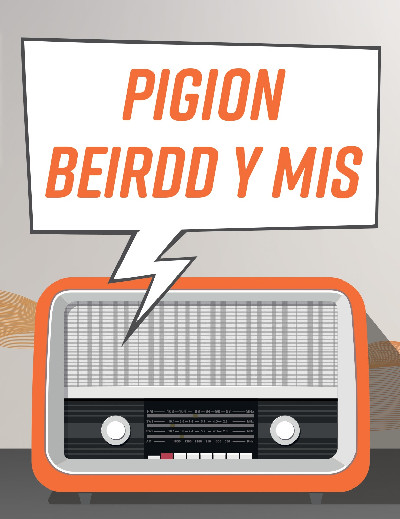 Pigion Beirdd y Mis