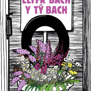 Llyfr Bach y Tŷ Bach