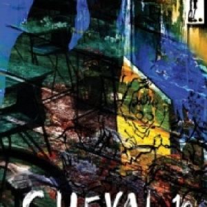 Cheval 10 - The Terry Hetherington Award Anthology 2017