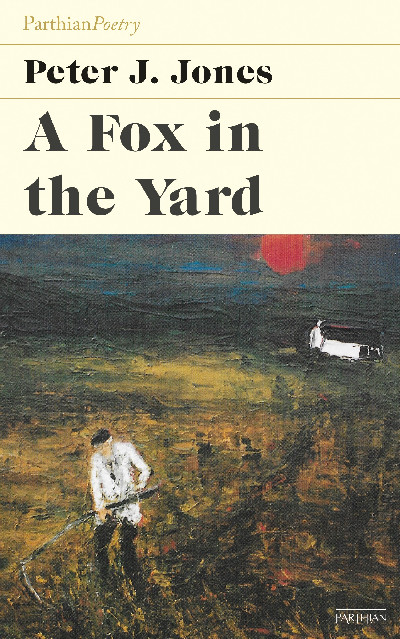 A Fox in the Yard