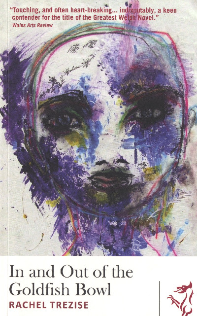 Library of Wales: in and out of the Goldfish Bowl