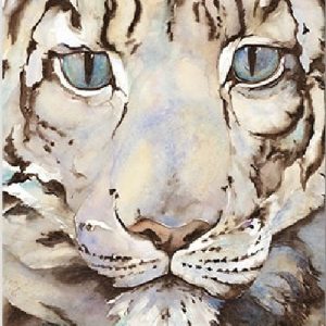 The Snow Leopard Poster