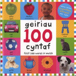 100 Geiriau Cyntaf/ First 100 Words in Welsh