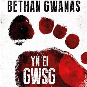 Cyfres Amdani: Yn ei Gwsg