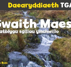 Daearyddiaeth TGAU: Gwaith Maes - Datblygu Sgiliau Ymchwilio