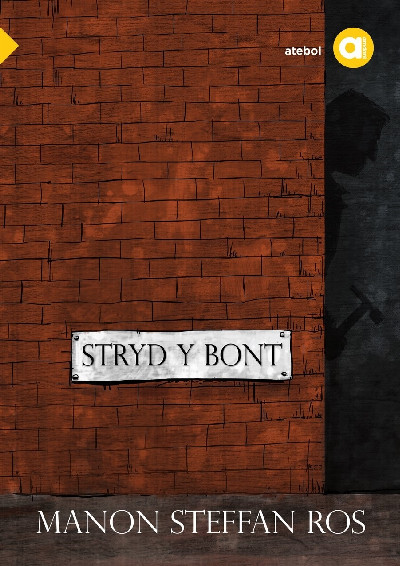 Cyfres Amdani: Stryd y Bont