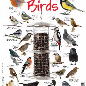 Garden Birds Jigsaw