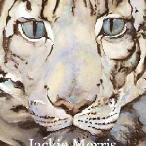 Jackie Morris Postcard Pack: The Snow Leopard