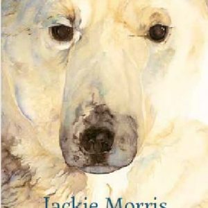 Jackie Morris Postcard Pack: The Ice Bear