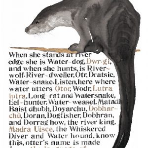 Jackie Morris Poster: Names of the Otter, The