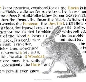 Jackie Morris Poster: Names of the Hare, The
