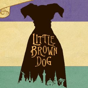 Little Brown Dog