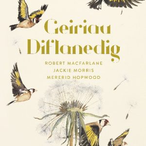 Geiriau Diflanedig
