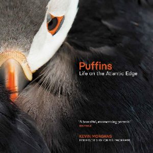 Puffins: Life on the Atlantic Edge