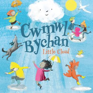 Cwmwl Bychan / Little Cloud