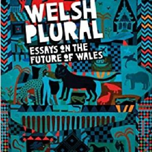 Welsh (Plural) - Essays on the Future of Wales