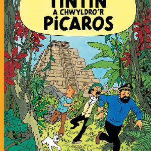 Tintin a Chwyldro'r Pícaros