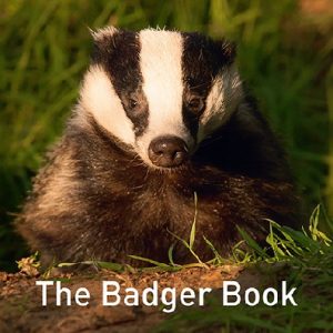 Nature Book Series: The Badger Book