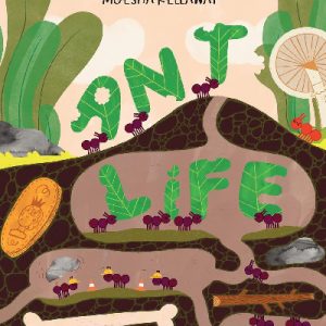 Ant Life