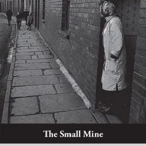 The Small Mine