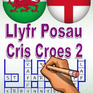 Llyr Posau Cris Croes 2