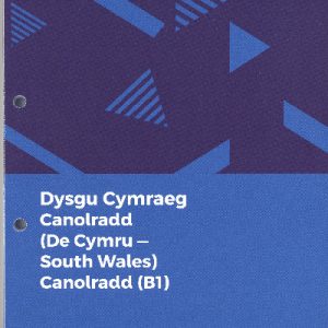 Dysgu Cymraeg: Canolradd/Intermediate De Cymru/South Wales