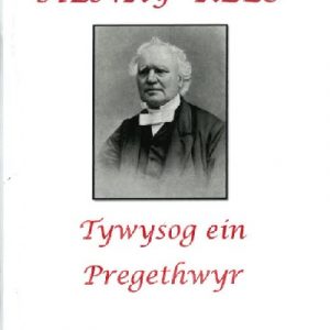 Henry Rees - Tywysog ein Pregethwyr