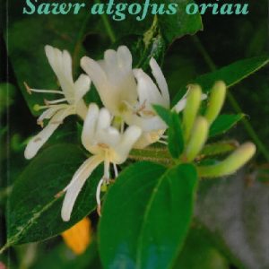 Sawr Atgofus Oriau - Cerddi gan Norman Closs
