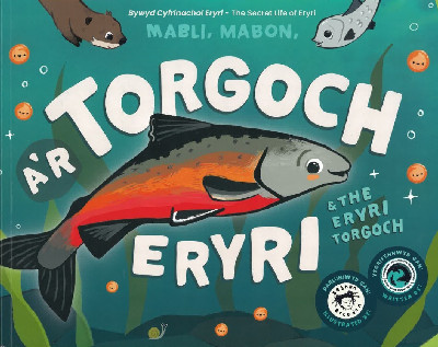Mabli, Mabon a'r Torgoch Eryri / Mabli, Mabon & the Eryri Torgoch