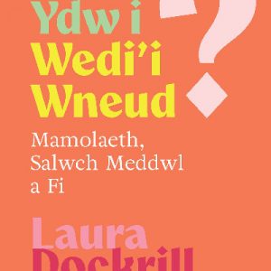 Beth Ydw i Wedi'i Wneud? Mamolaeth, Salwch Meddwl a Fi