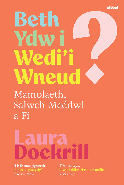 Beth Ydw i Wedi'i Wneud? Mamolaeth, Salwch Meddwl a Fi