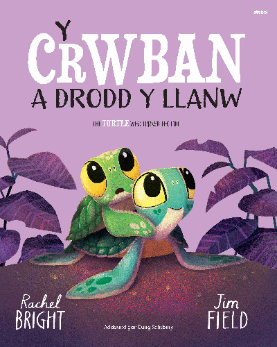 Y Crwban a Drodd y Llanw / The Turtle Who Turned The Tide