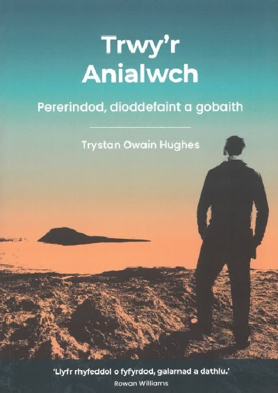 Trwy'r Anialwch - Pererindod, dioddefaint a gobaith