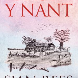 Bron y Nant