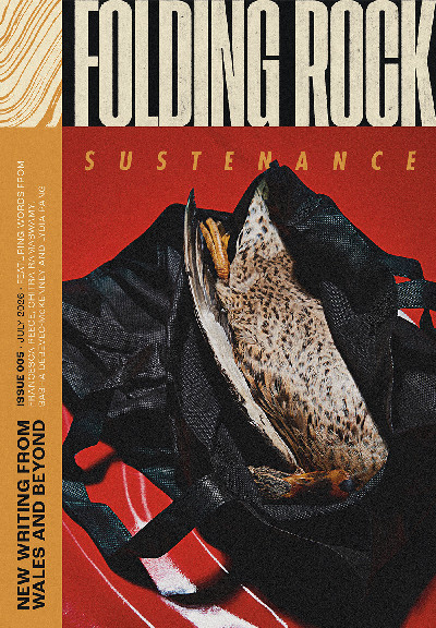 Folding Rock 005: Sustenance